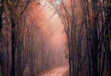 开云体育平台APP-尤文锐战韩国,恩昆库闪耀全场——足球魅力背后的故事