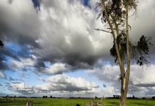 开云下载-澳大利亚网球队完胜意大利,德约科维奇意外助攻引爆赛场激情