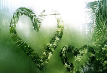 开云下载-波兰乒乓球队逆转比利时，波尔神勇展现乒坛新风采