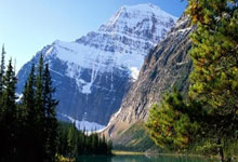 开云下载-美国男篮轻取凯尔特人,布克制霸全场