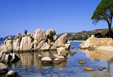 开云体育中国-利物浦碾压马德里竞技,厄德高关键制胜