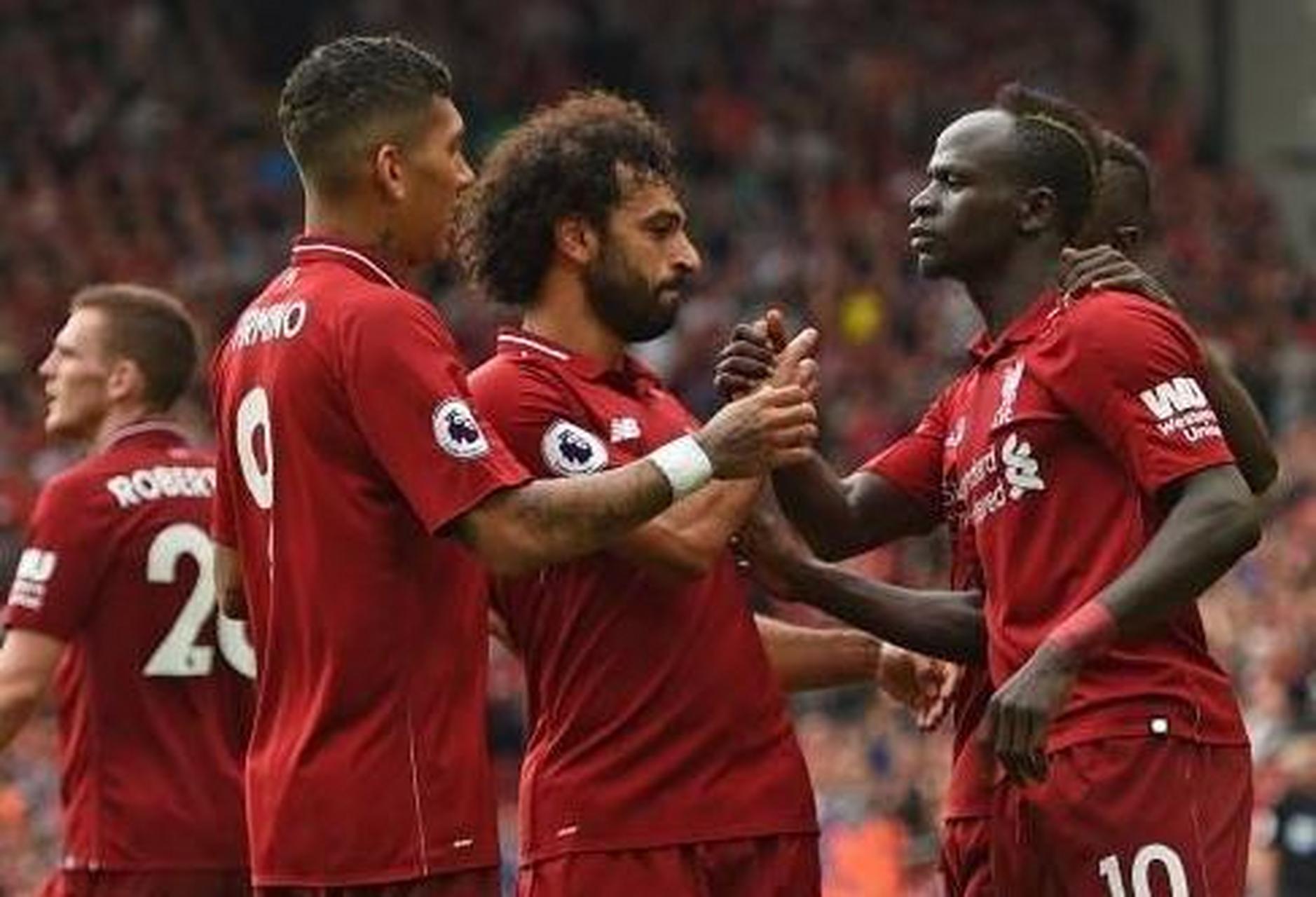 包含利物浦连遭打击,范戴克受伤报销的词条 包含利物浦连遭打击,范戴克受伤报销的词条