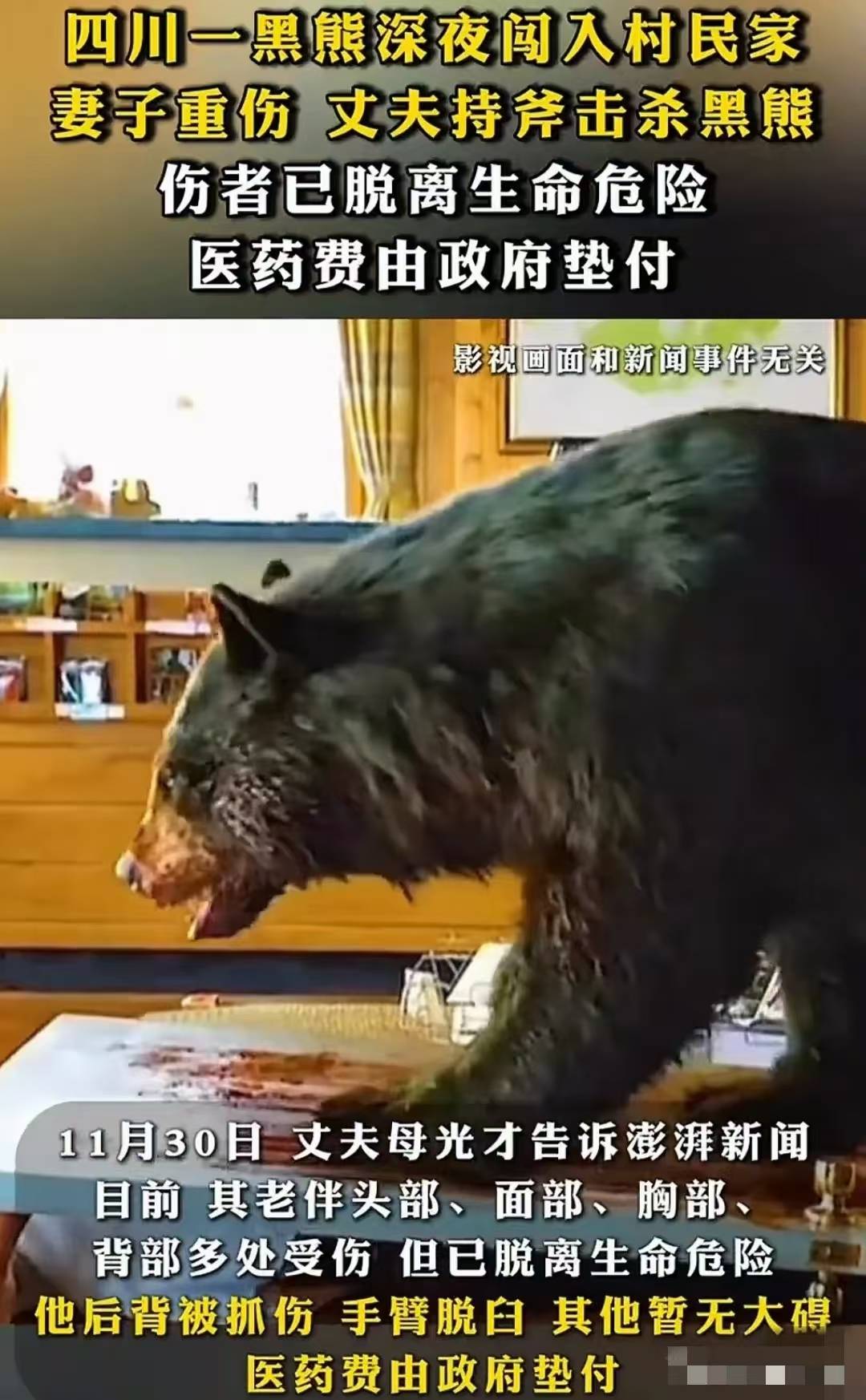 开云体育官网-灰熊惨遭灭门！唐斯砍下+助森林狼再胜