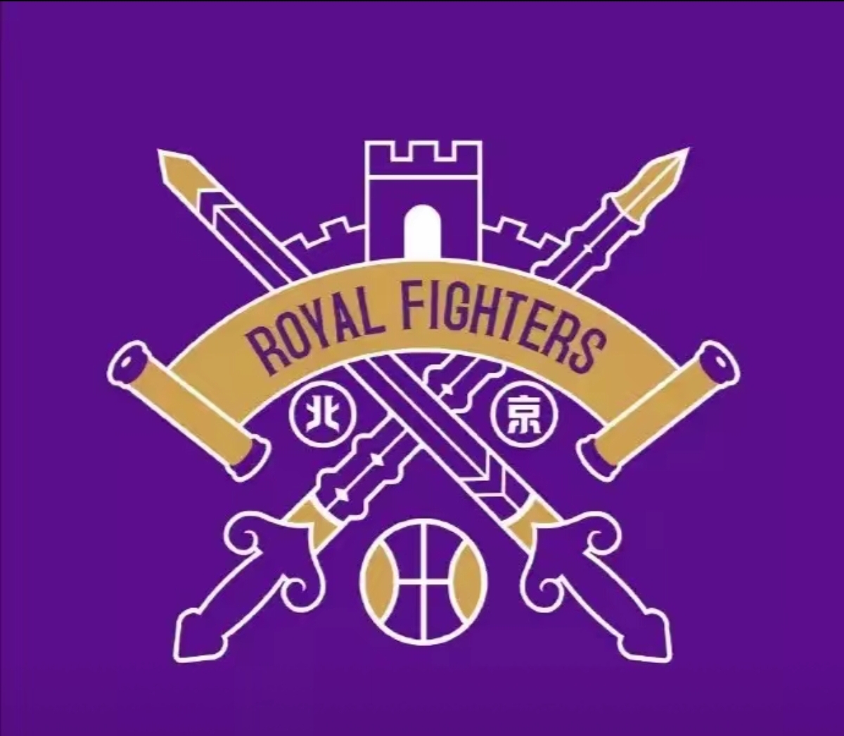 开云体育入口-北京男篮总分惜败，失守州立球场