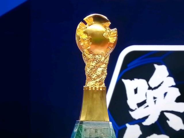 开云体育登录-江苏苏宁奋起直追，最终取得胜利的简单介绍