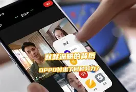 开云平台-包含尼日尔取得胜利的背后，付出艰辛努力的词条