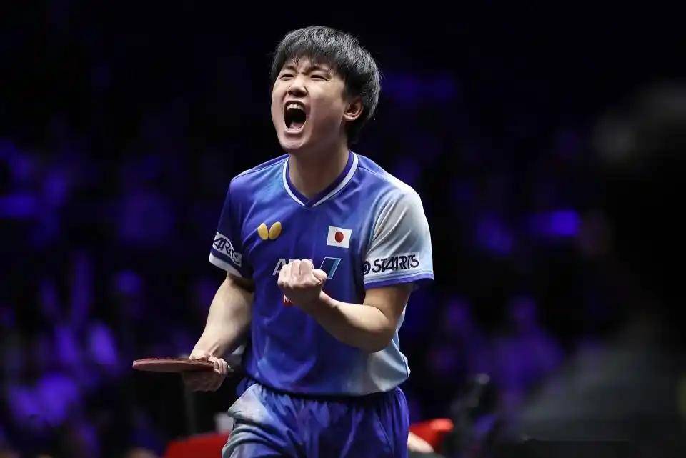 开云体育官网-比利时乒乓球队强势奥地利乒乓球队，张本智和爆发神勇的简单介绍