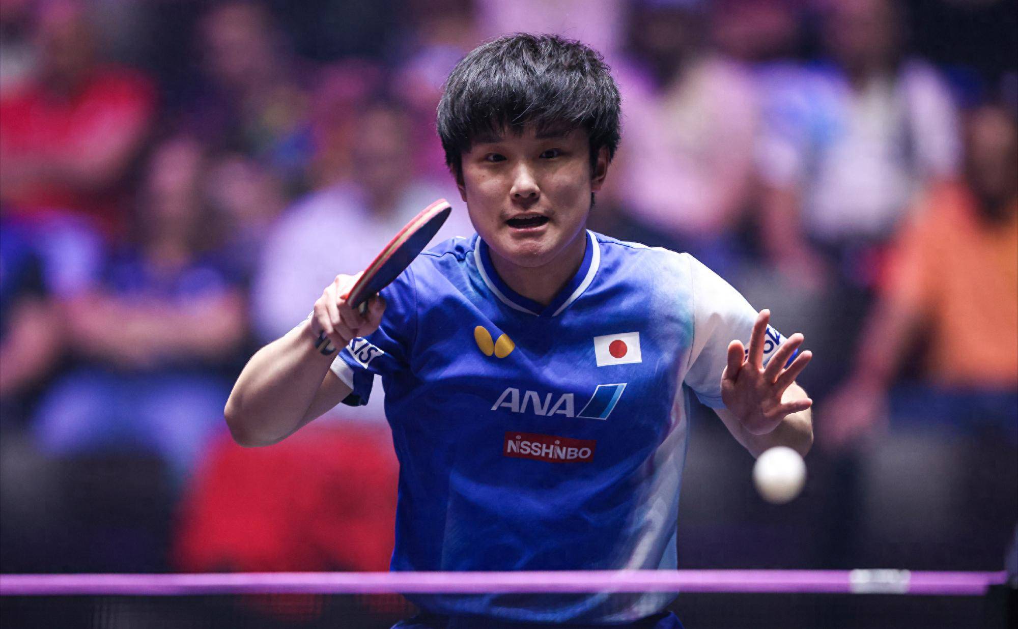 包含葡萄牙队逆转法国队,张本智和状态火热的词条 包含葡萄牙队逆转法国队,张本智和状态火热的词条